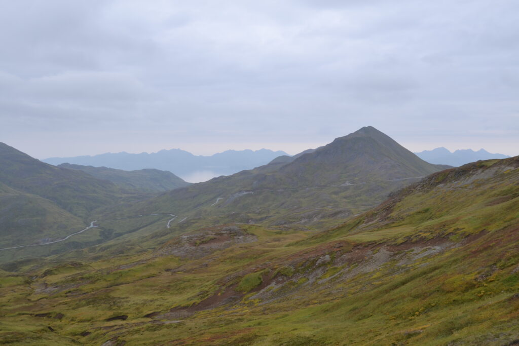 Mountain and tundra landscape