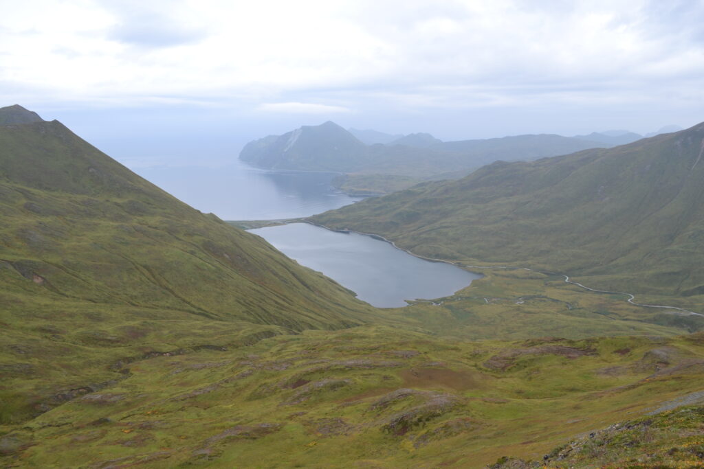 A bay from the top of a mountain in Unalaska
