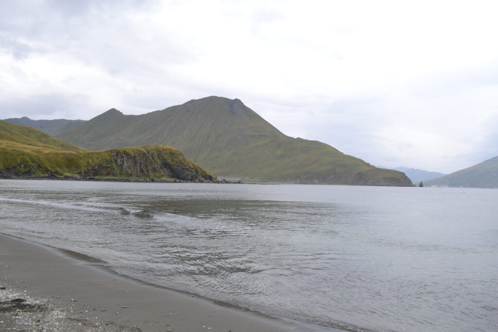 Black sand beach with mountains in the backdrop