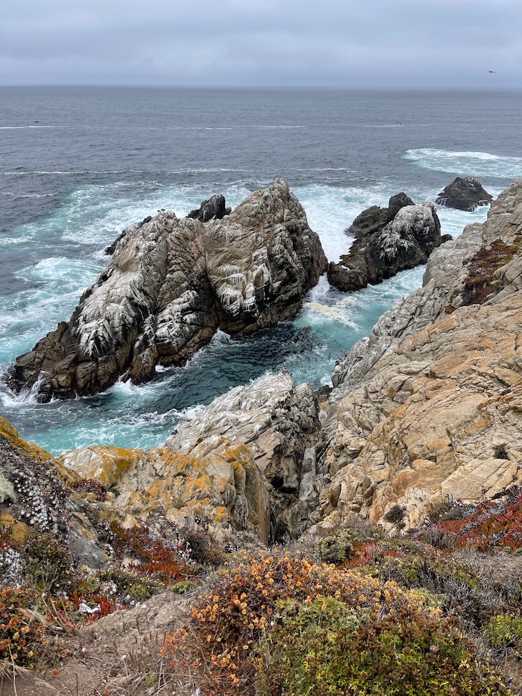 Rocky northern California coast with red and orange flowers along the rocks, strong waves are crashing into the rocks along the shoreline