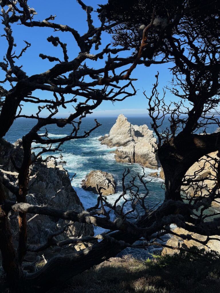 Rocky northern California coast in Carmel in the background framed by the silhouette of cypress trees in the foreground