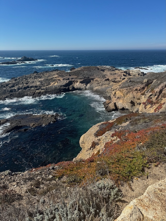 Rocky shores of California coast with waves crashing against its cliffs. Red ice plants are see scattered throughout the rocks