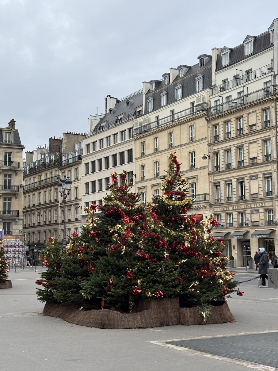 Christmas trees decorated with red and gold tinsels in the middle of Parisian apartments