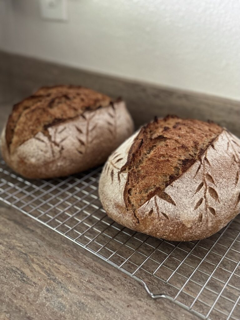 Two whole wheat sourdough bread with wheat stalk designs across it's top on a cooling rack sitting on a kitchen counter