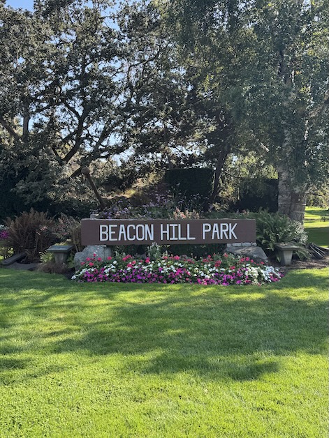 A sign saying "Beacon Hill Park" across it stands on a lawn above a bed of pink and white flowers with trees towering behind it