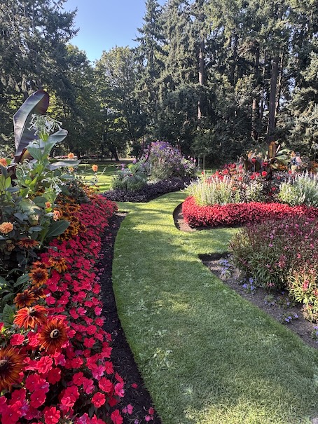 A grass path perfectly groomed is surrounded by fall flowers bloomed in all colors and height, they are all beautifully curated and aligned to look neat and uniform