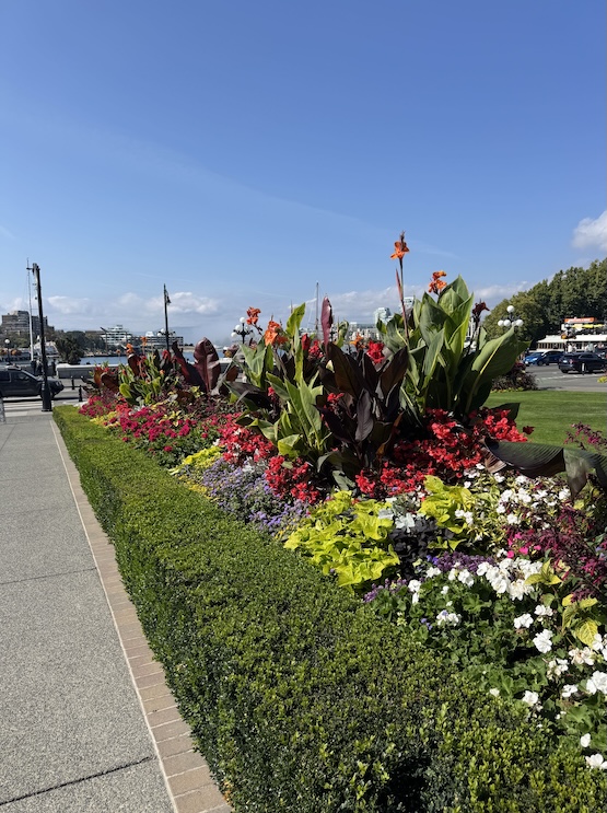Seasonal flowers in warm autumn hues—deep oranges, reds, and yellows—bloom vibrantly in front of the Fairmont Empress Hotel in Victoria. Behind the flower beds and stately stone building, the calm waters of the Inner Harbour stretch out, dotted with boats under a crisp fall sky.