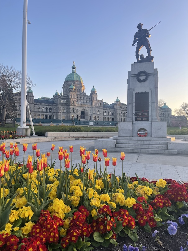 Beautifully curated tulips are planted in a flower bed before a statue of a soldier and the Legislative Building of British Columbia during sunset