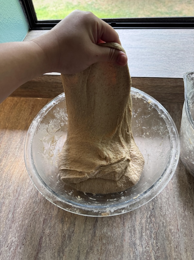 A hand is pulling up a bread dough in a method called a stretch and fold. The dough is in a glass mixing bowl on a counter