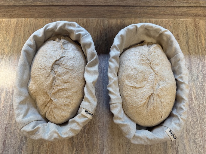 Two whole wheat sourdough doughs in a linen lined bannetons on a counter