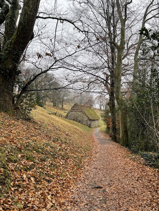A path covered in fallen leaves on a hill leading to a simple sheepfold made of stone nestled along the grassy hillside