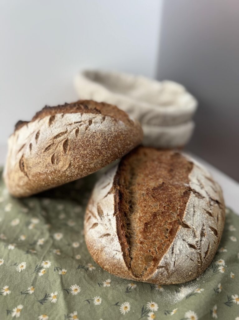 Two loaves of whole wheat sourdough bread are on top of a sage green cloth napkin with little daisies on it. There are two basket bannetons in the background